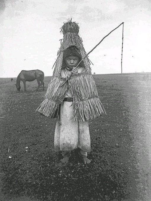 Галичина, 1890-ті роки. Пастушок у дощову погоду. Історія України  Підпишись, пізнавай, п…
